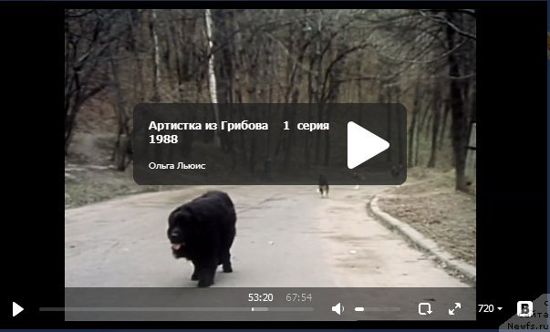 Фотография № 147300