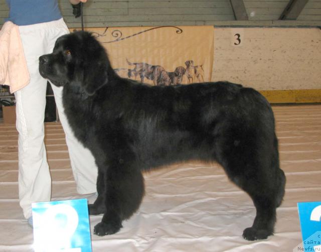 Фотография № 14743