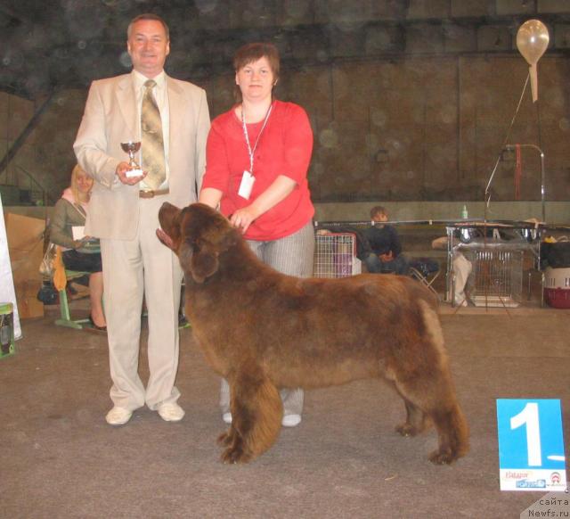 Фотография № 14744