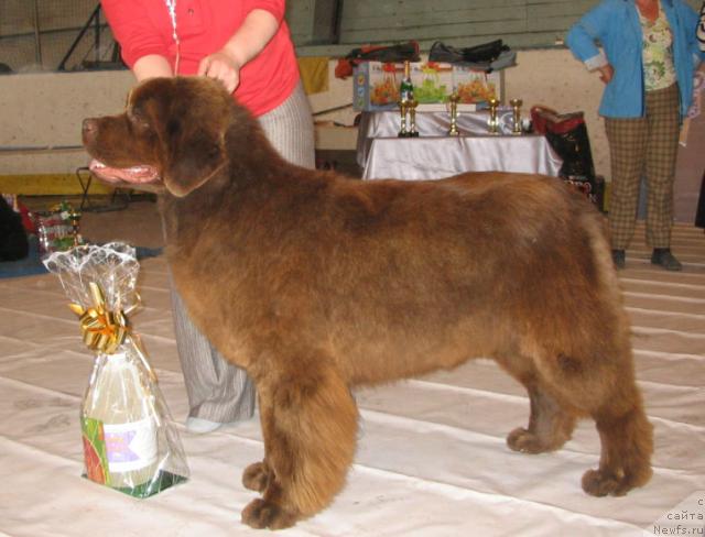 Фотография № 14745