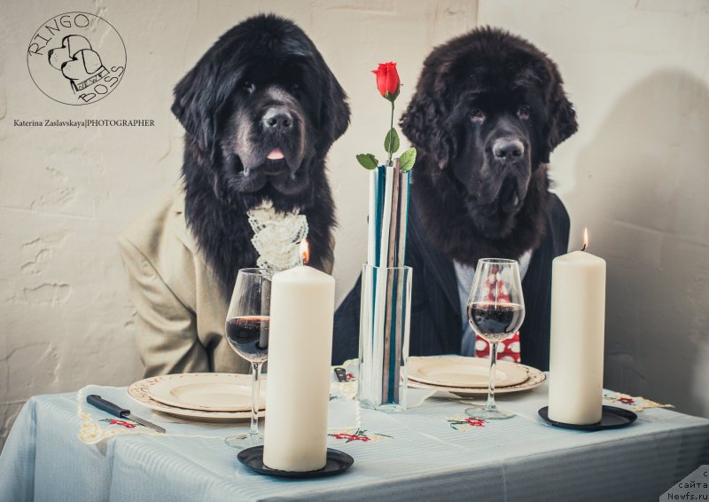 Фотография № 147468