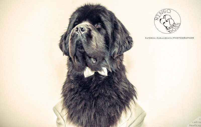 Фотография № 147469