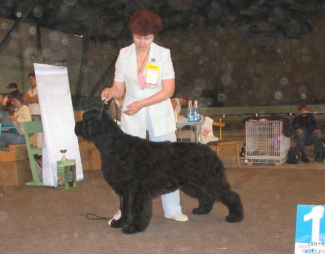 Фотография № 14749