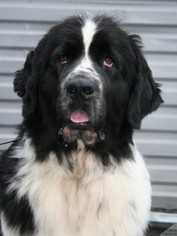 Фотография № 147499