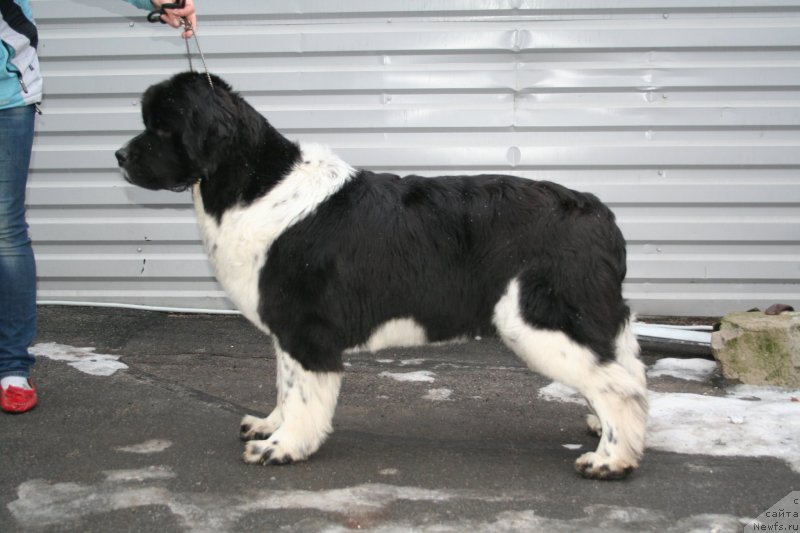 Фотография № 147504