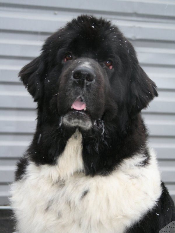 Фотография № 147511