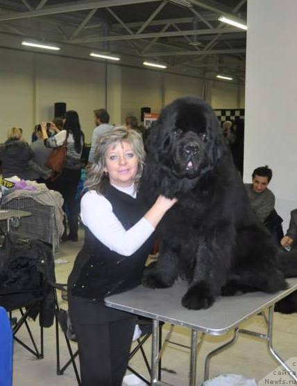 Фотография № 147529