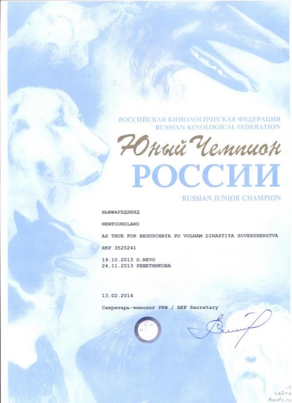 Фотография № 147544