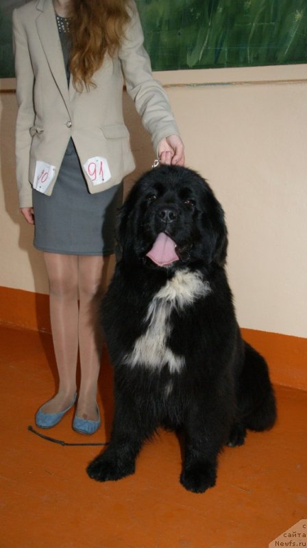 Фотография № 147546