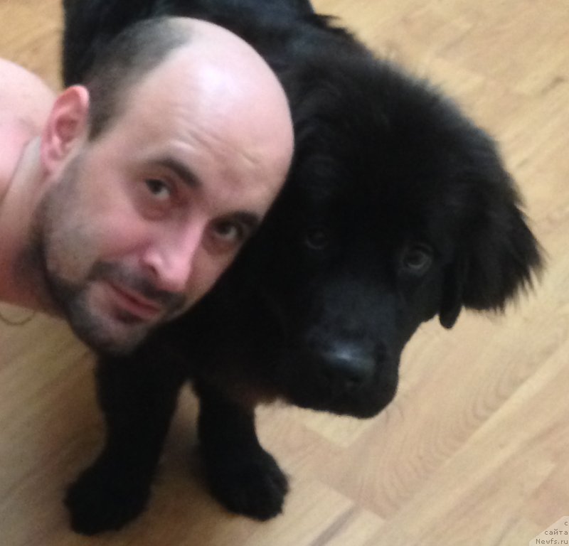 Фотография № 147551