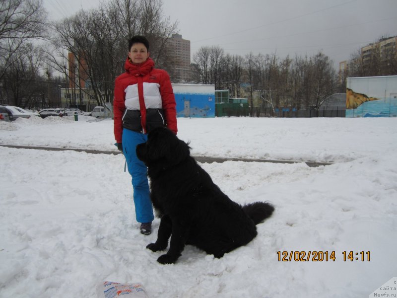 Фото: Irina Dyujenko (Ирина Дюженко)