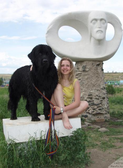 Фото: Aleksandra Kanunnikova (Александра Канунникова), ньюфаундленд Mag Ispolin Kopperfil'd (Маг Исполин Копперфильд)