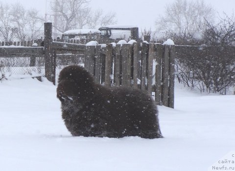Фото: Irina Panyushkina (Ирина Панюшкина)
