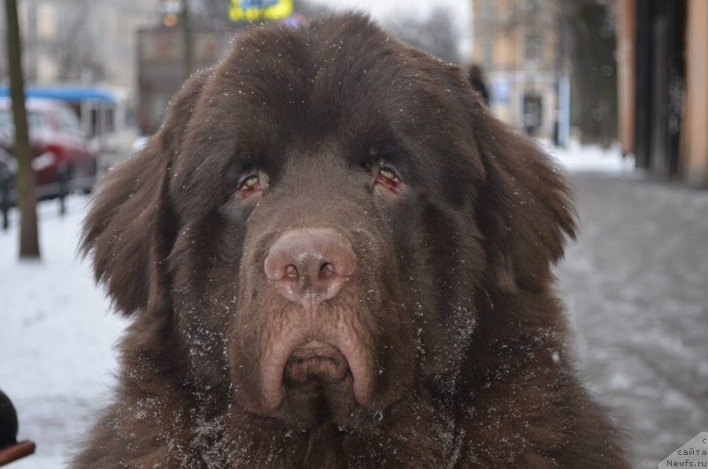 Фотография № 147589