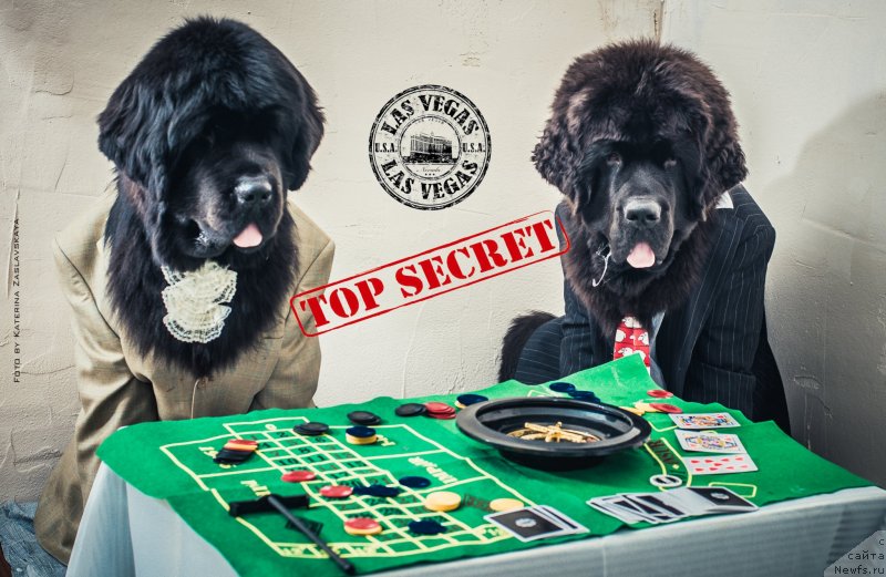 Фотография № 147590