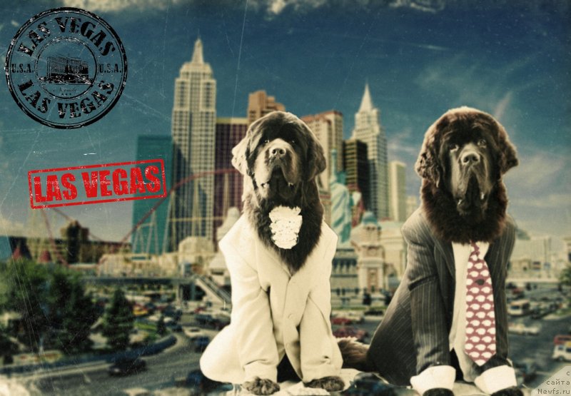 Фотография № 147596