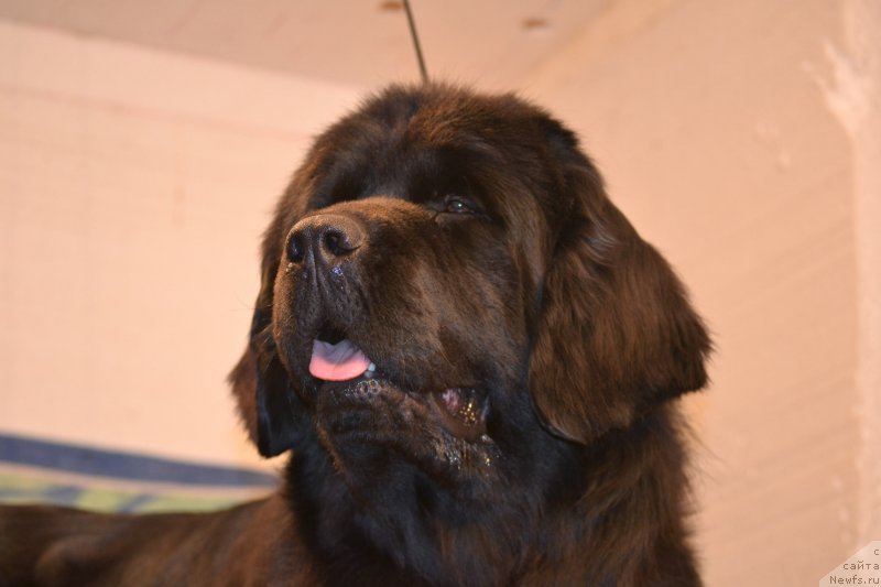 Фотография № 147617