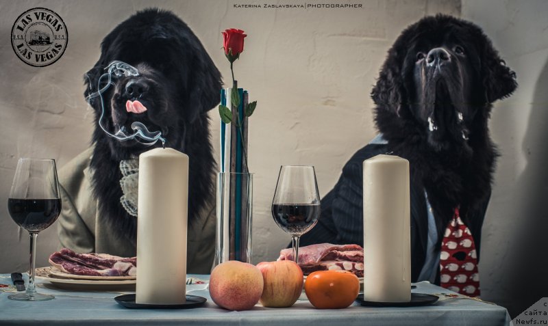 Фотография № 147664