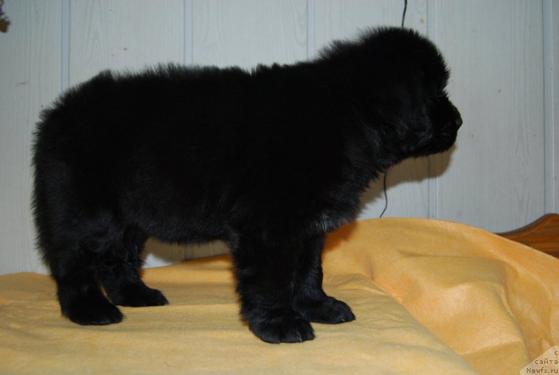 Фотография № 147670