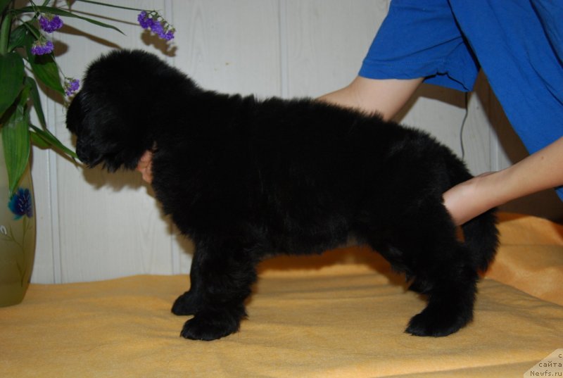 Фотография № 147675