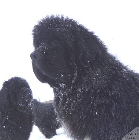 Фотография № 147677