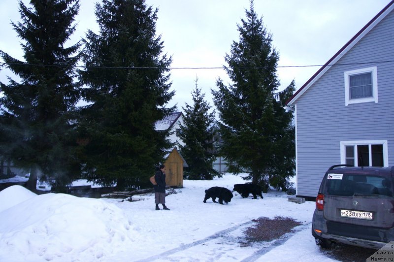 Фото: Anna Kovalyova (Анна Ковалёва)