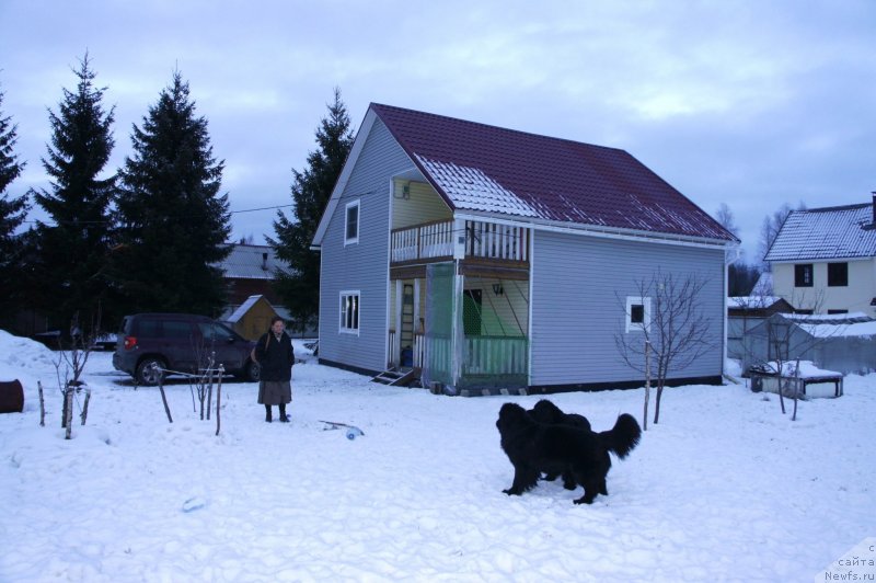 Фото: Anna Kovalyova (Анна Ковалёва)