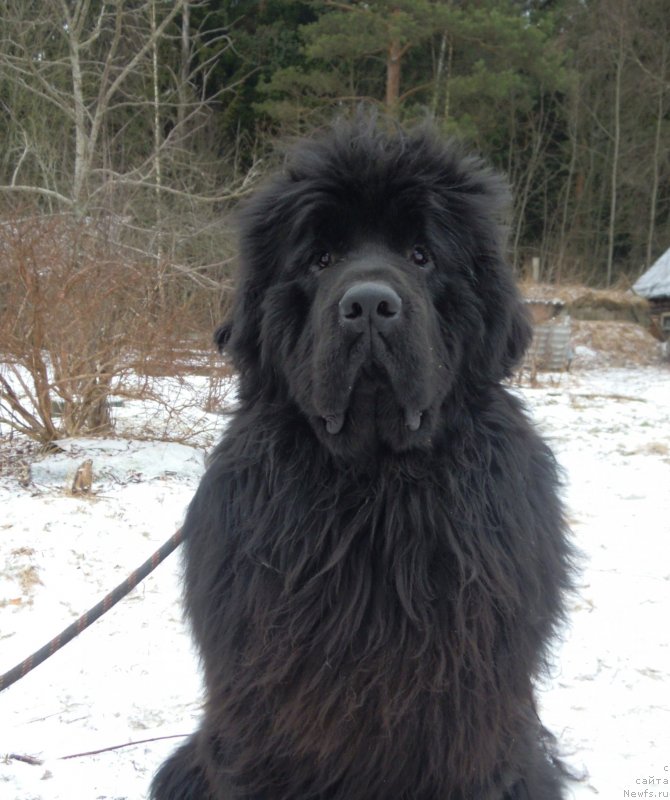 Фотография № 147739