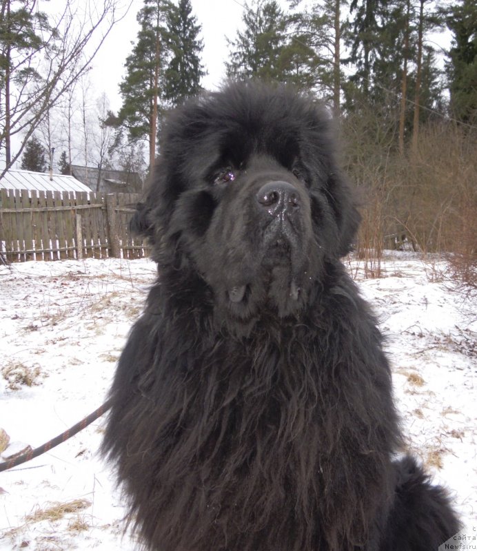 Фотография № 147741