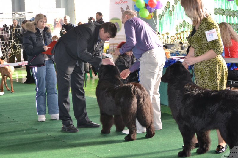 Фотография № 147747