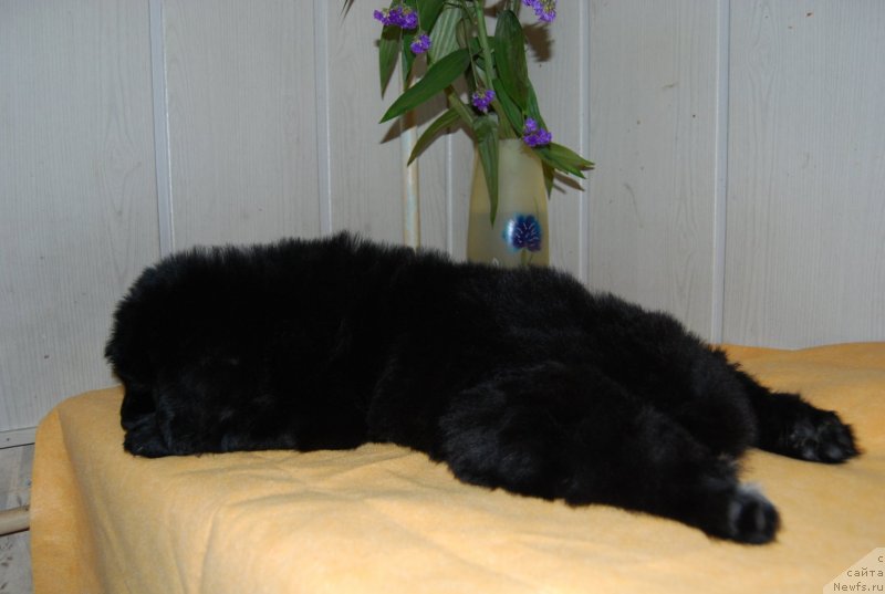 Фотография № 147751