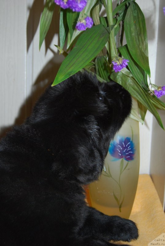 Фотография № 147754