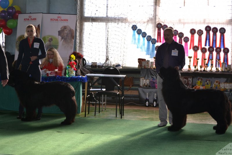 Фотография № 147766