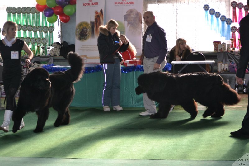 Фотография № 147779