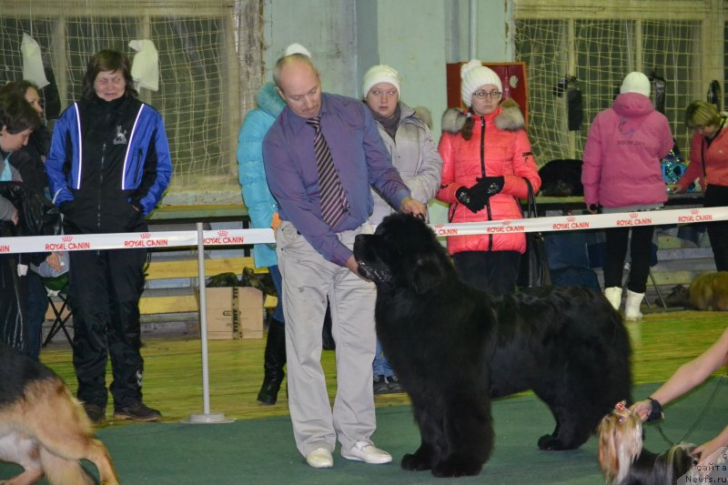 Фотография № 147787