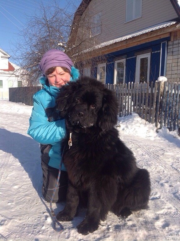 Фото: Цезарь с мамой Любой на прогулке