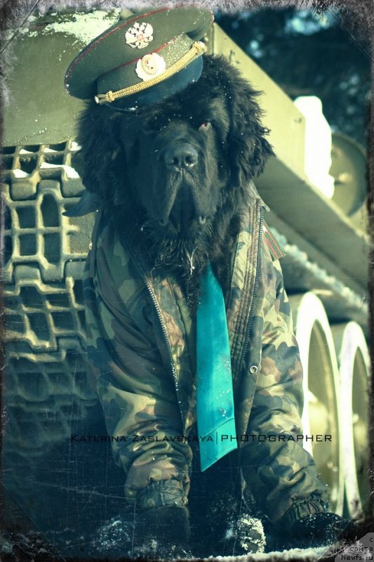 Фотография № 147796