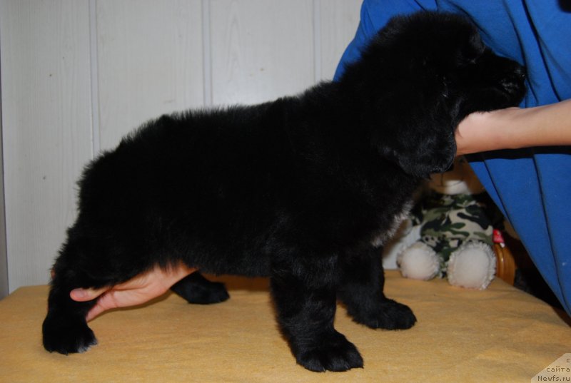 Фотография № 147804