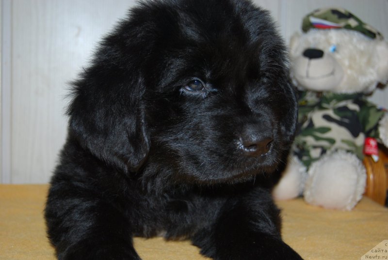 Фотография № 147808