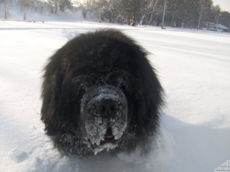 Фотография № 147812