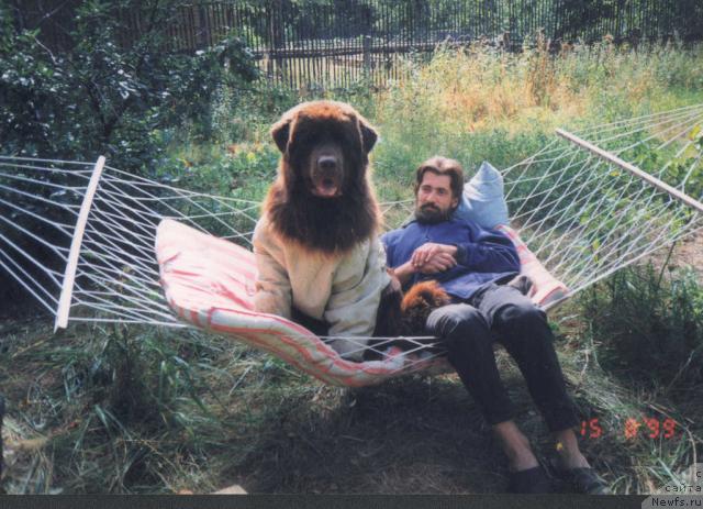 Фотография № 14785