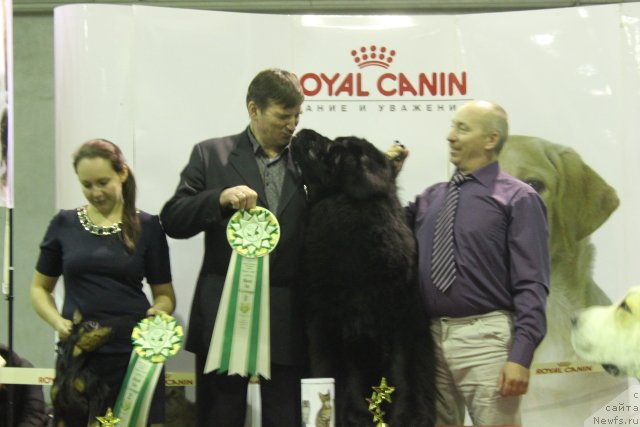 Фотография № 147885