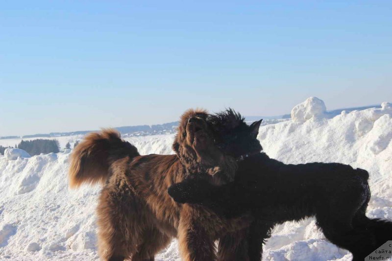 Фотография № 147916