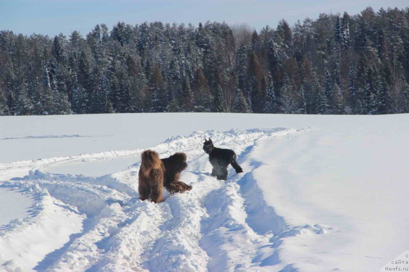 Фотография № 147917