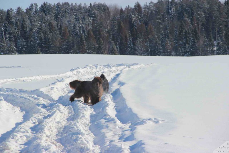 Фотография № 147918