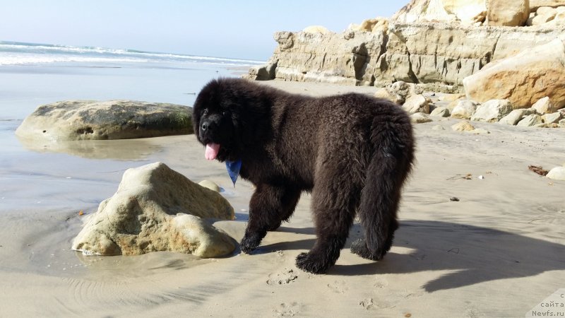 Фотография № 147971