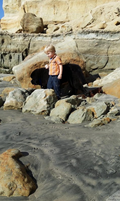 Фотография № 147972