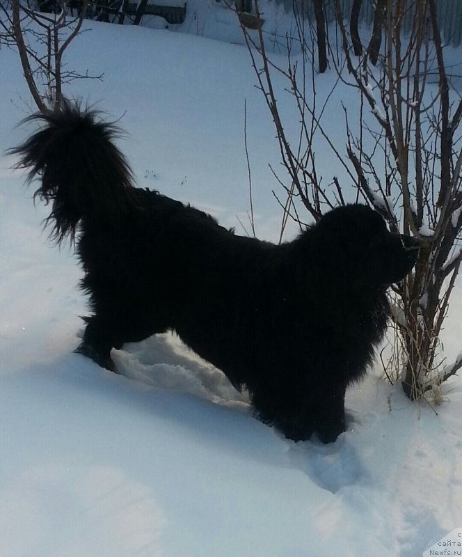 Фото: Ol'ga Fisenko (Ольга Фисенко)