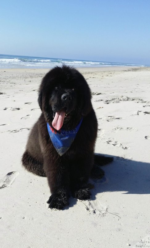 Фотография № 147974