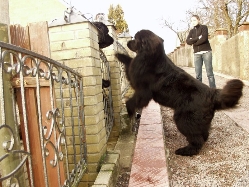 Фотография № 148008